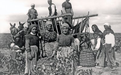 Las bodegas tradicionales en La Mancha. Bogarve 1915