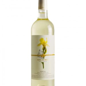 alma de vega. airen-verdejo